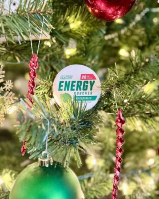 🎄⚡ Energie pod stromečkem? Jasná volba. Když cukroví nestačí a kafe už je moc… GRINDS ENERGY POUCHES – Wintergreen ti...